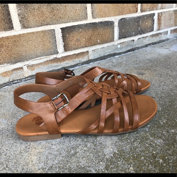 jellypop brown sandals